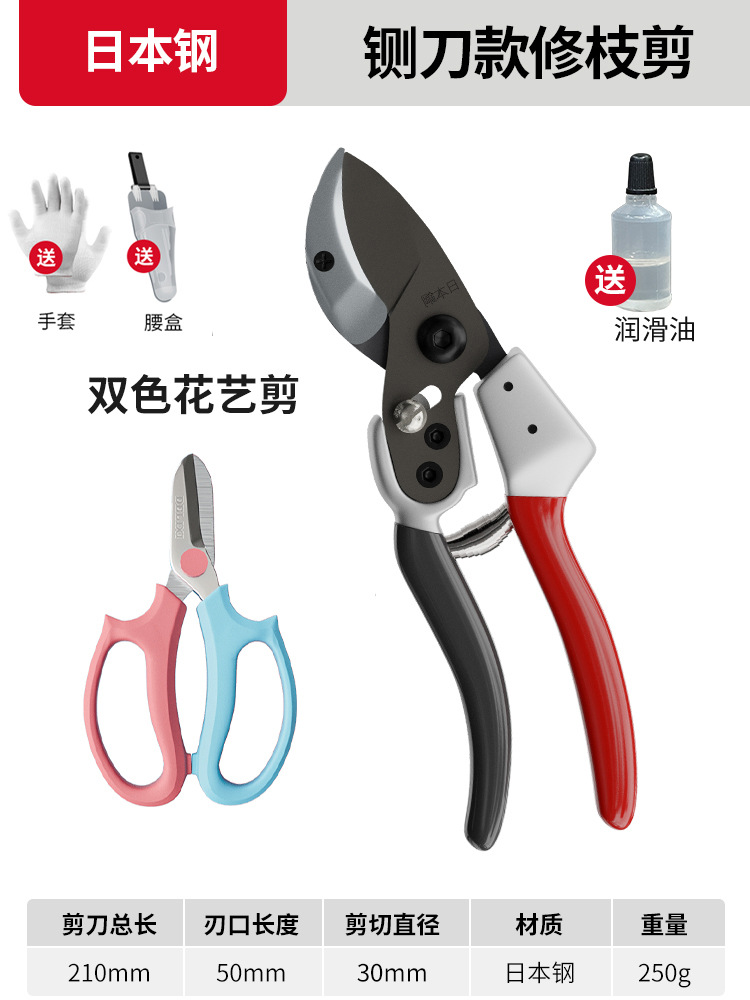 Tijeras de rama de fruta Yizili tijeras de jardín de primavera SK5 hoja de acero tijeras de jardinería doméstica tijeras de podar Bonsai de jardín al por mayor