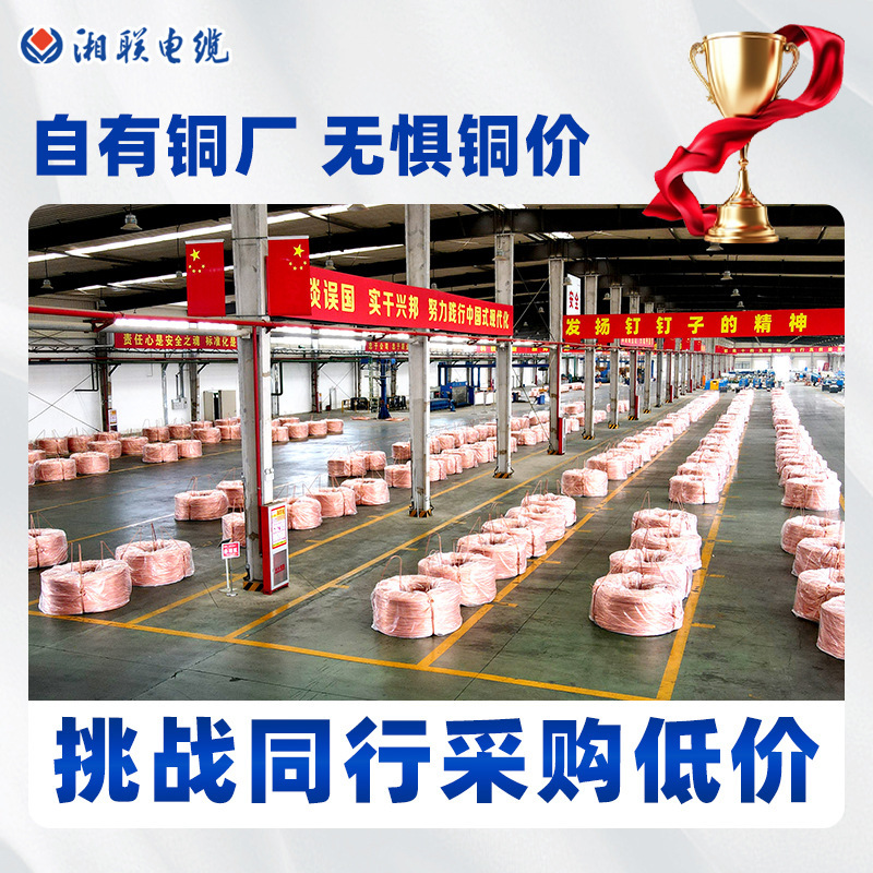 25 Square Meters of Copper Core Wire Vv Cable National Standard Three-Core Hard Cable Cross-Linked Polyethylene Insulated Conductor Power Cable