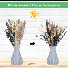 ���R�d���N��Ȕ��С�JȔ�ɻ���β��С���m�羳��؛�����ɻ����l