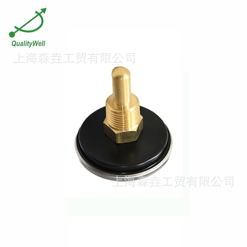 63mm���������ͺ����ǹ�¯�¶ȼ� ���װ�װ�� 0/120C H221C