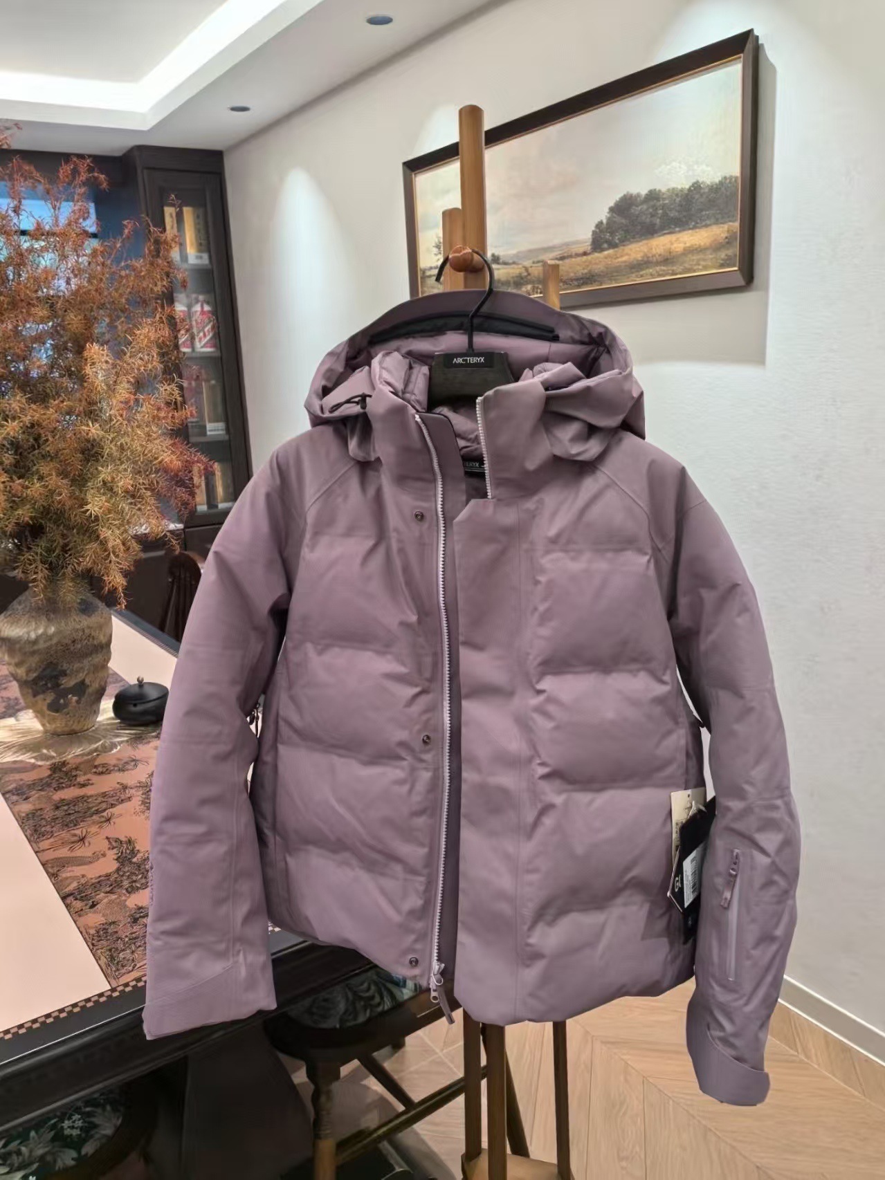 Bird 's Home nuevo Andessa plumón chaqueta de mujer abrigo de esquí corto chaqueta de montaña calentamiento grueso