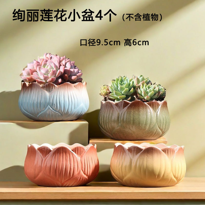 Loto de cuatro colores