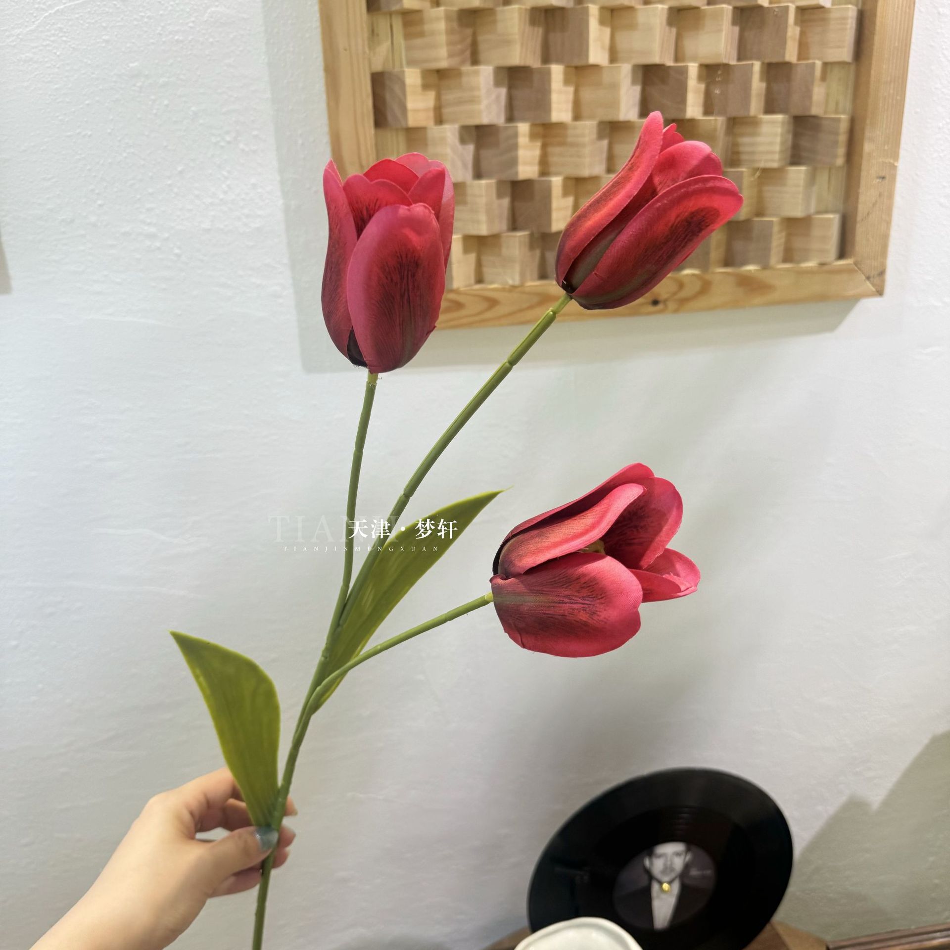 와인 레드