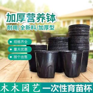 ��ľ���籭Ǥ��һ�������ψ@ˇ���軨�ܷN������������Nֲ�I�B��