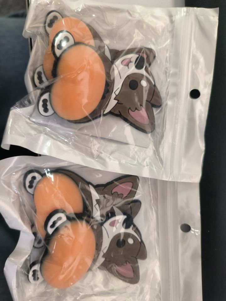 Corgi Dog 2