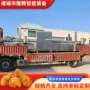 油炸不喜欢低温菠萝蜜油炸机