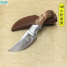 High Quality Hunting Knifes Wood Handle Camping Survival跨境