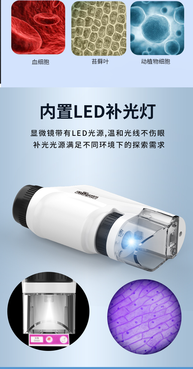 F-_蓝竹_2024_10_05