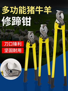ţ�������Q�i�����㵶�F�ü����Qָ���Q�����㹤�����������ţ��