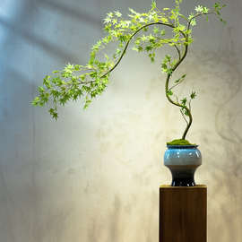 ♔流泉枫绿植假花古风新中式茶室装饰禅意玄关摆件小型盆