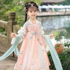 Children's Hanfu Dress for Girls, Exquisite Ancient Style Gown, Baby Girl Ethnic Fashion Ruqun, Chinese Style Formal Dress with Shawl