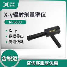 辐射剂量率仪RP6500 X-γ辐射剂量率仪