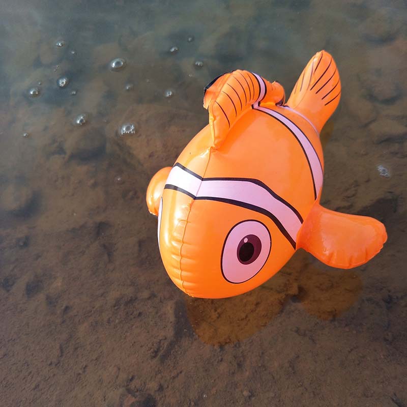 PVC充气鱼 金鱼暑假儿童游泳戏水玩具游泳圈幼儿卡通动漫地摊跨境