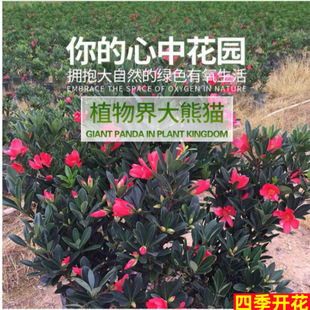 �ļ��軨������N�tɽ�莧���������������҃����̨ͥԺ�ͺ�����
