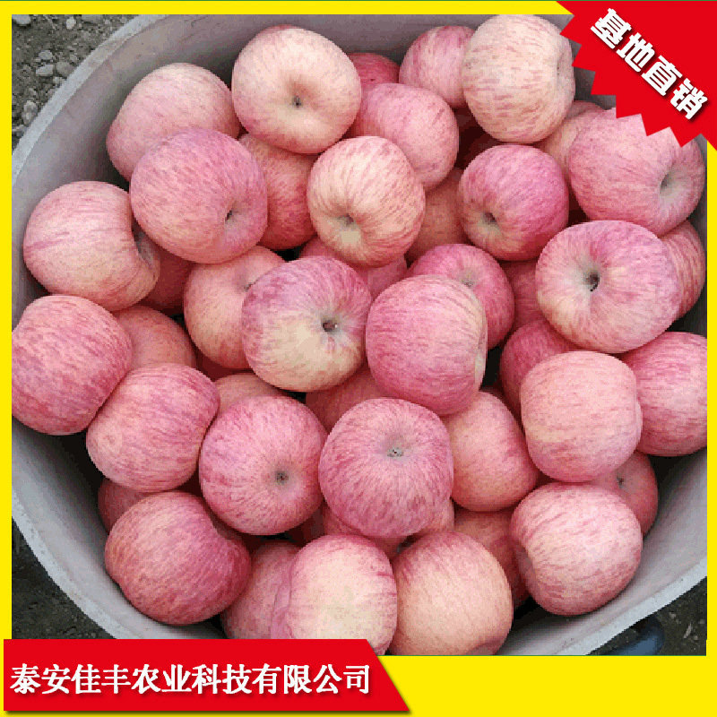 9087590874_1997219560