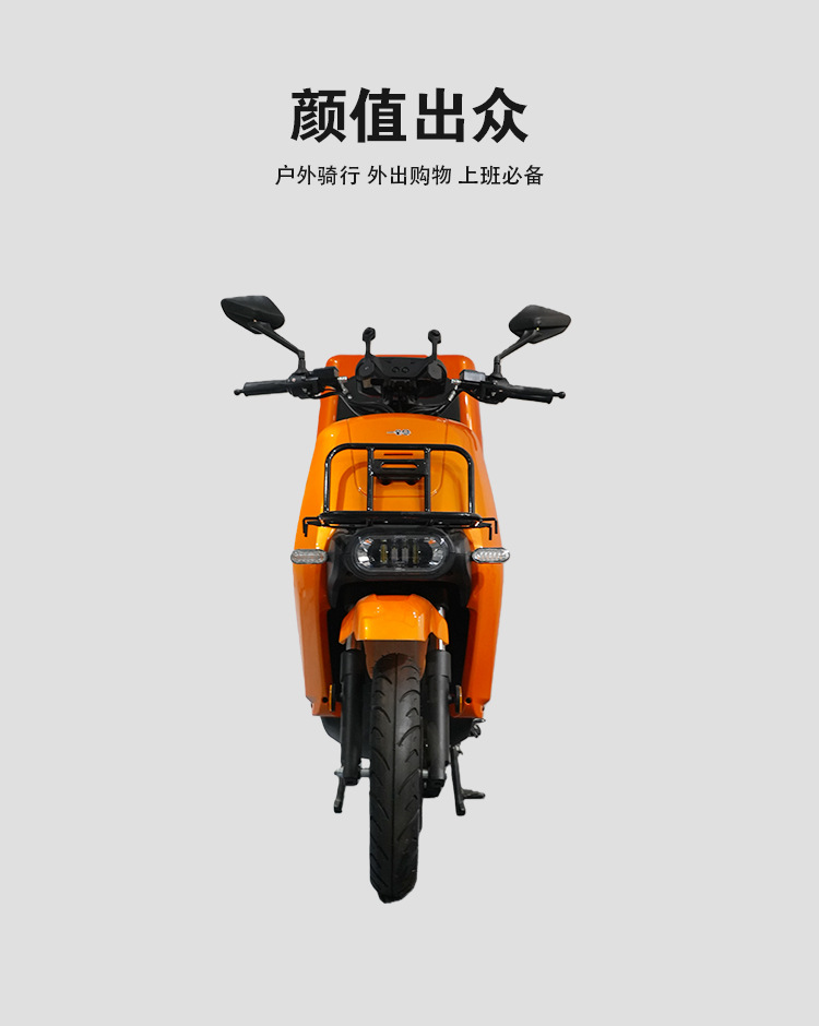 Adult Electric Motorcycle High Power Long Range Battery Scooter