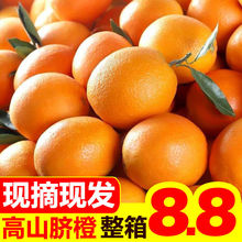 新鮮臍橙橙子新鮮當季水果整箱批發手剝冰糖甜橙非江西贛南臍橙