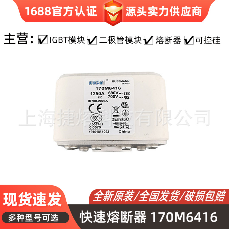 170M6416  170M6417 快速熔断器  保险丝 电子元器件 量大价优