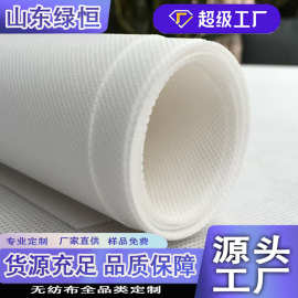 白色PP无纺布成卷聚丙烯纺粘无纺布彩色yi用丙纶不织布无纺布批发