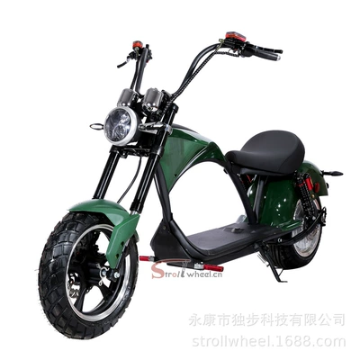 Elektrikli motosikletlər — 60V12Ah Scooter Customization