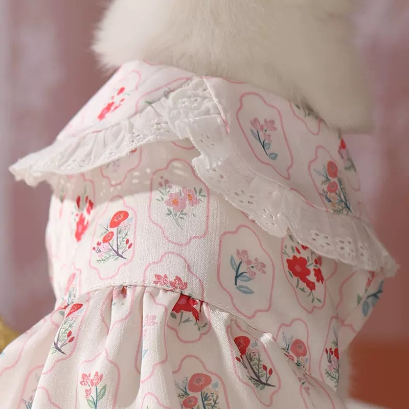 Baihua Blooming burbuja vestido de vestir ropa de gato anti-pelusa primavera mascota gatito primavera y verano fresco Delgado