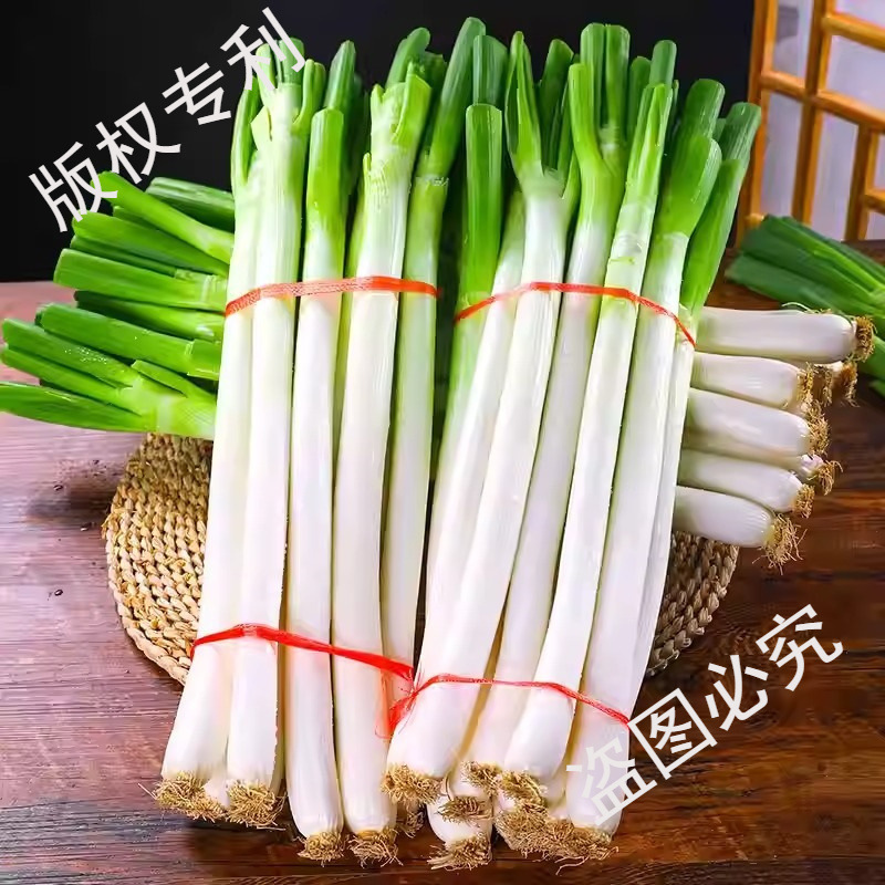 Premium Iron-Skinned Green Onions, Freshly Dug and Peeled, with Half Leaves Removed, Authentic Farm-Grown in Open Air, Original Flavor