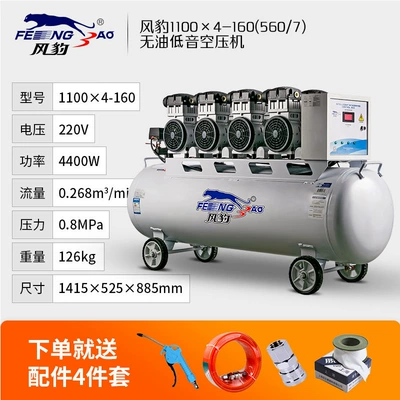 Hava kompressorları Portable Oil-Free Bass Air - oil-free-1100x4-160l-4400w