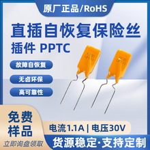 �������˿pptc30V1.1A1100mAֱ���Իָ�����˿RUEF110 X30UF110