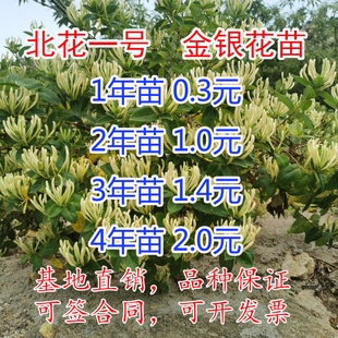 ���y���������ֲ�ﱱ��һ̖�����_�����Ե���ʳ��ș���ļ������l