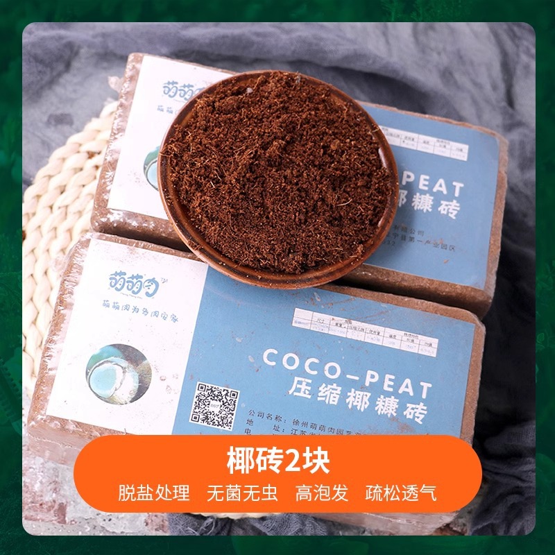 코코넛 벽돌 2개