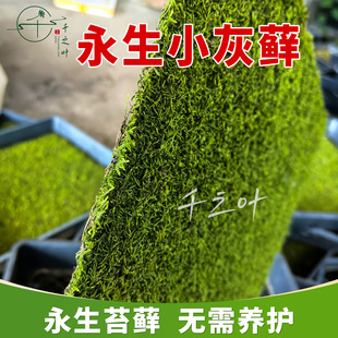 ����С���\�쾰ͥԺ��ƺ���ɻ��ʸ���̦�ٴ�Gֲ����ֱ�N���l