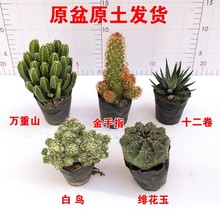 �����������J�C�f��ɽ����ֲ���k���������ݗ��ȥ��ȩ�_��������