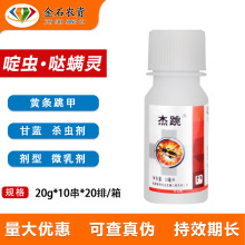 ���� ��x&middot;�}�\�` 20%���{�߲������S���S�l���� ���x��20����