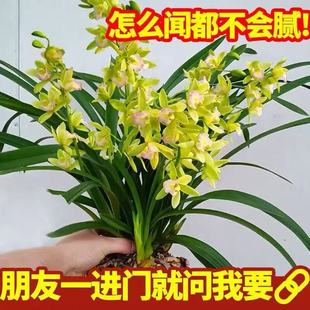�m�����Ԏ������l؛���F����ֲ�����m�����ļ��_���Gֲ�҃ȸ߼�ī