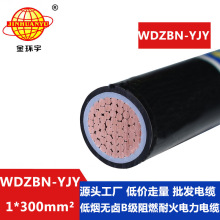 ��h����| WDZBN-YJY 300ƽ�� ������ȼ�ͻ������|�͟��o�u