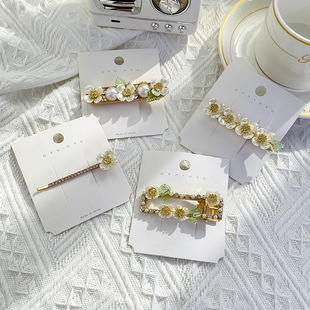 �ع��ѻ�����l�A��߅�A�nʽ���s���n����������A�ll���^�Ů