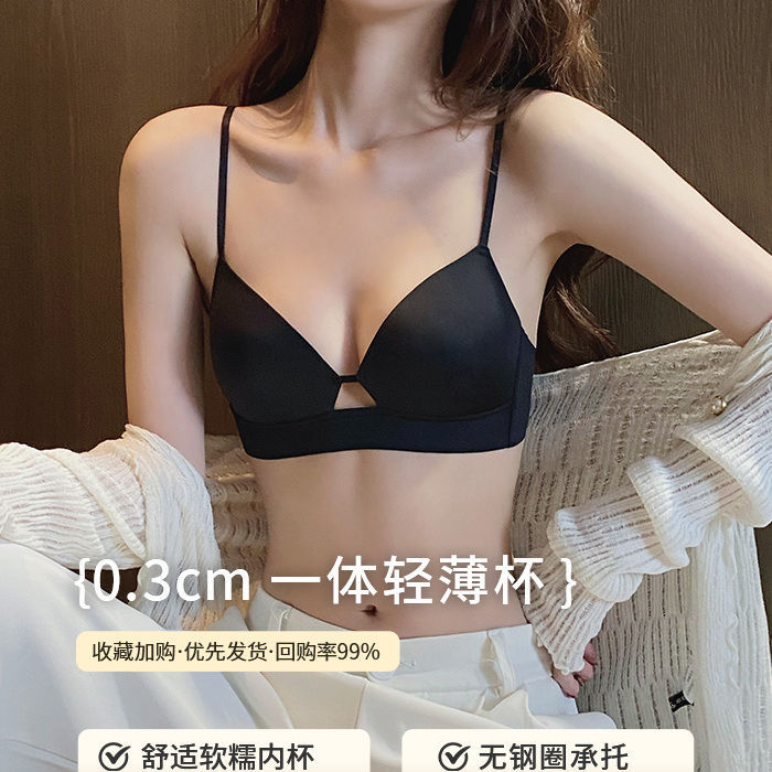 노이 르 노이 르