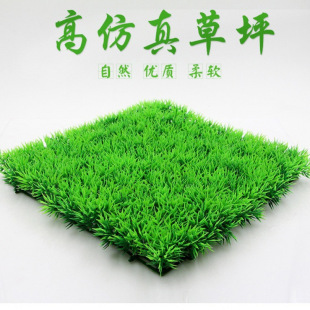  SֱN l ˮƷ ~ ˮ 쾰 ˮ CP11