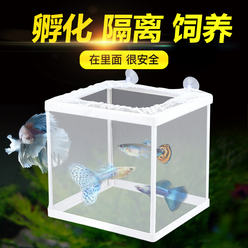 鱼缸水族箱孵化器小鱼隔离盒网热带鱼繁殖箱产盒孵鱼槽繁殖箱鱼网