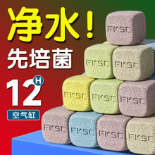 �~���^�V���������������մɭhʯӢ���~�؃���ˮ�|�^�V�����ÞV��