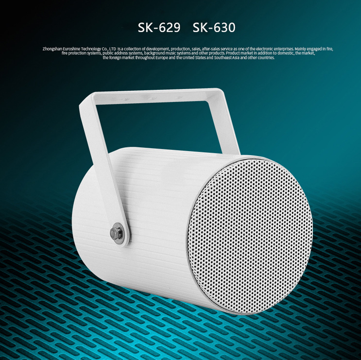 Directional speaker