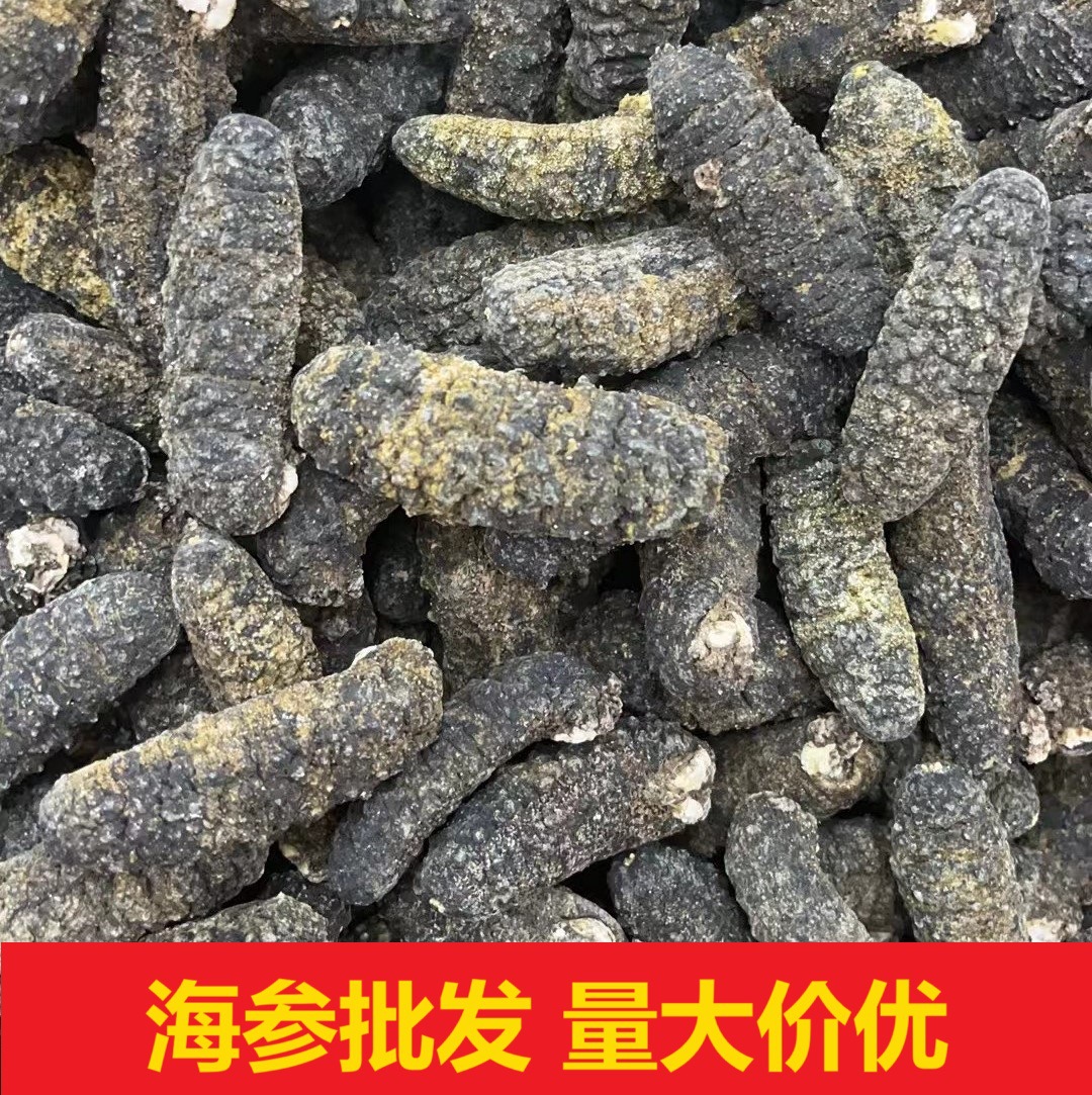 南美靴参肉厚 海参干货荔枝参 淡干海参干货水发产品规格头数齐全