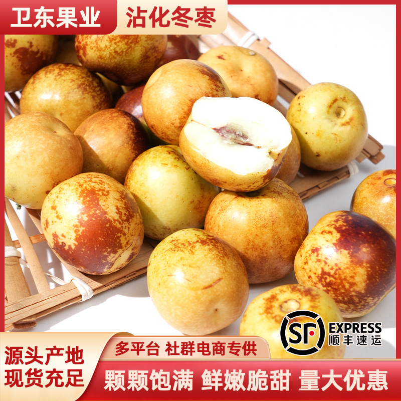 沾化冬枣鲜枣大枣现摘脆枣孕妇一件代发量从优山东产地多汁脆甜