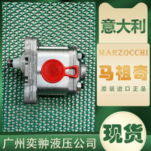 MRGHP2A-D-10-FGX݆MARZOCCHIƷƬF؛