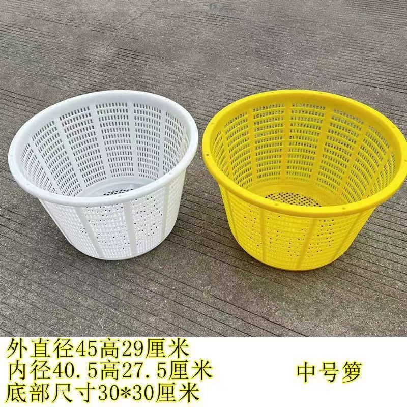 O1CN019n10Md1TkPLjzBwsV_!!2212