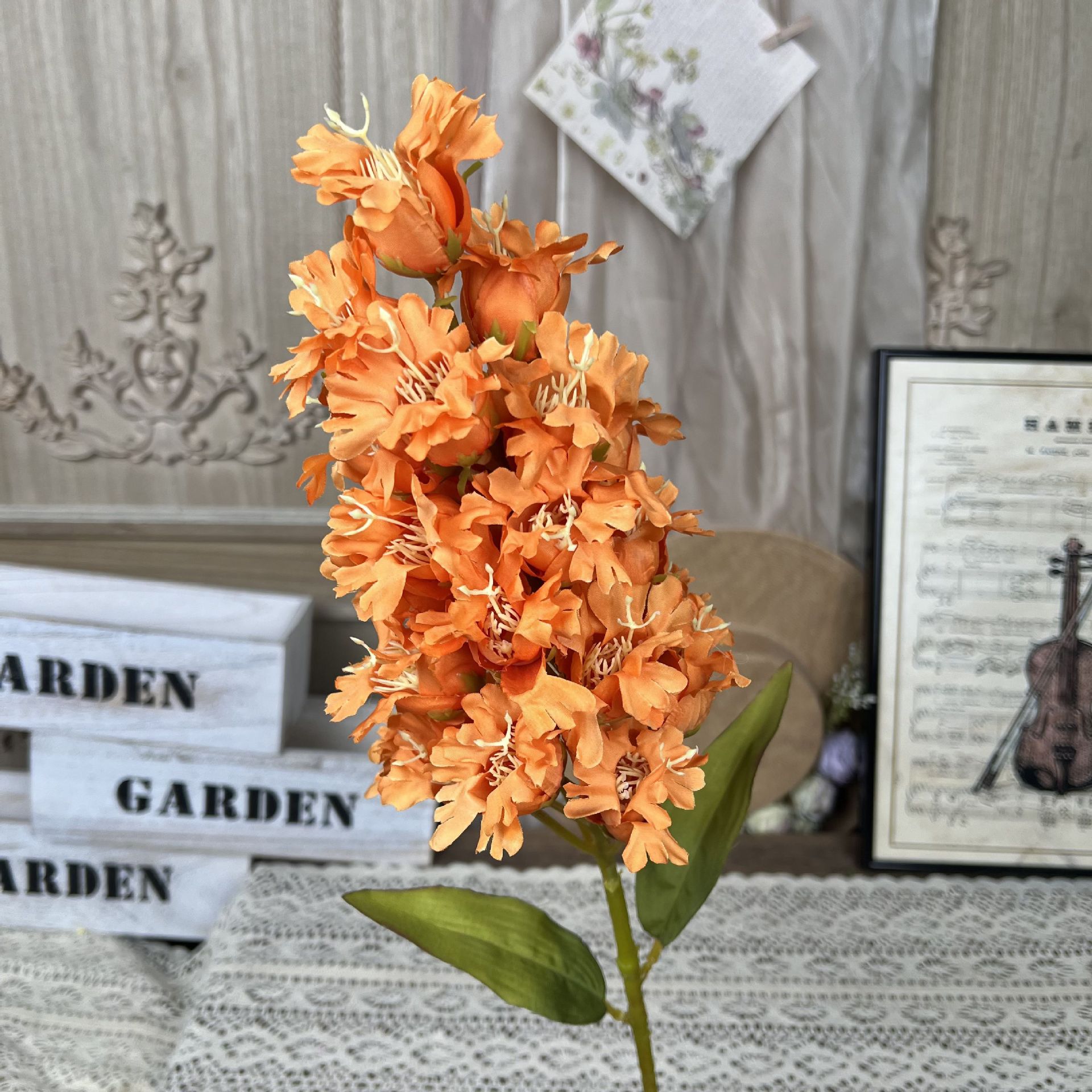 TY-포도 히아신스-오렌지