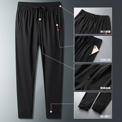 Men's Loose Casual Ice Silk Pants 2023 Summer New Elastic Breathable Sports Pants Quick-Drying Underwear