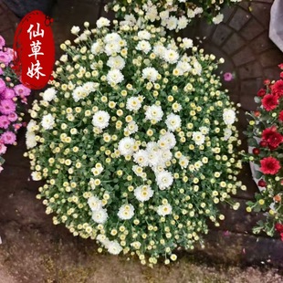 �����Ԏ�����������¾�ǧ�^���ļ��_����յ�����պ��m�Շ��c��