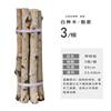 White birch tree rude wood rod landscape tree dead tree tree tree 杈 kindergarten DIY handmade material wall partition decoration