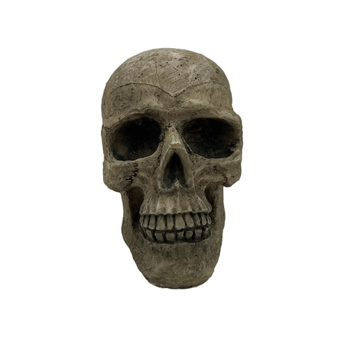 Miniature Simulation Skull Model Toy Accessory Halloween Prop Skeleton Head Ornament